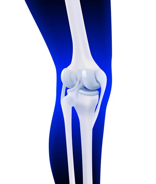 Koyu Mavi Bacak Siluetinde Insan Diz Kemiğinin Arka Bağının Boyutlu — Stok Vektör