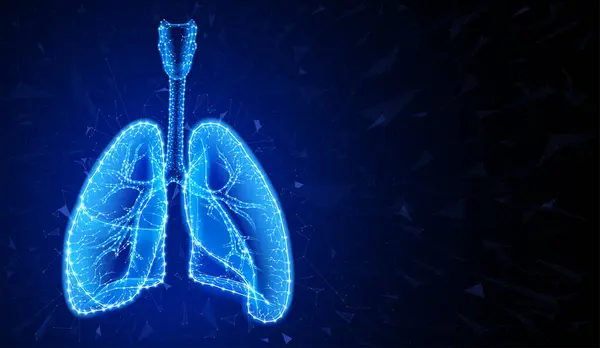 İki insan akciğerini modern tarzda resmetmek geometrik şekiller kullanarak koyu mavi arka planda insan akciğerlerinin şeklini oluşturmaktır..