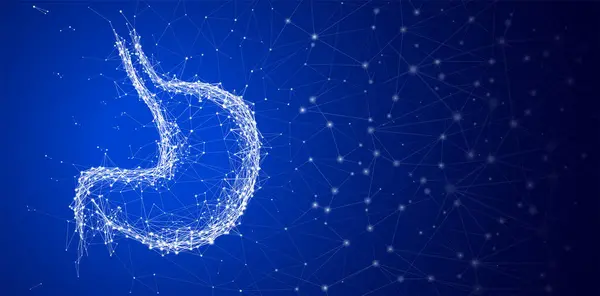 Koyu mavi arka planda insan midesi şeklindeki çizgilerin ve noktaların tasviri. Tıp, reklam, ticaret ve sanayide kullanılır..