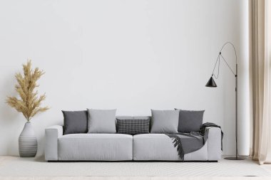 big white living room.interior design,gray and black sofa,little tree,carpet ,wall for mock up and copy space