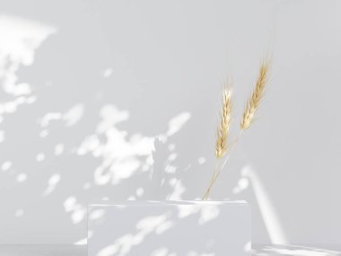 Beyaz podyum ve güzel güneş ışığı ve bej duvardaki gölgeler lüks güzellik, organik, sağlık, kozmetik, mücevher ürünleri moda ürünleri
