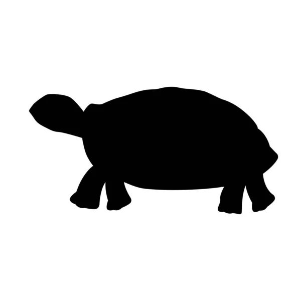 Turtle Icon Abstract Style White Background Vector — Stock Vector
