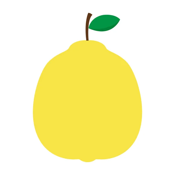 Gele Kweepeer Fruit Geïsoleerd Een Witte Achtergrond Voor Personen Vector — Stockvector