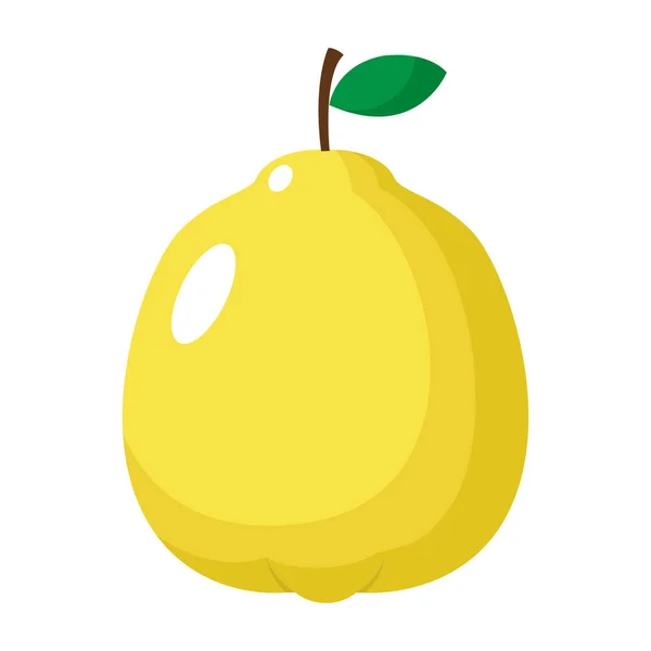 Gele Kweepeer Fruit Geïsoleerd Een Witte Achtergrond Eps Vector Illustratie — Stockvector