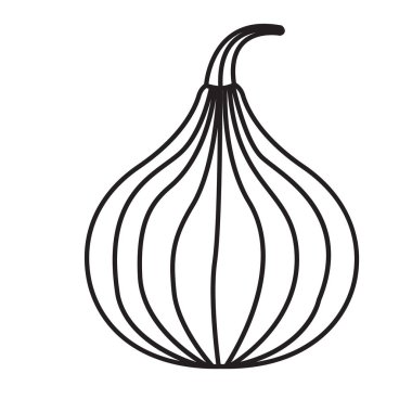 Beyaz arkaplan izole edilmiş taslak çizim simgesi üzerinde incir vektör çizelgesi çizimi meyvesi