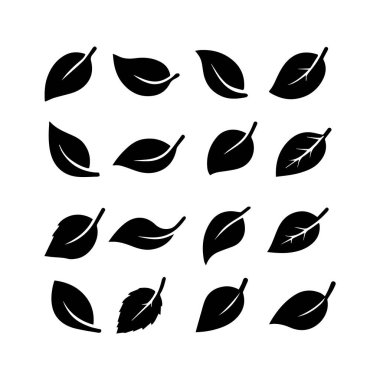 Minimalist tarzda ayarlanmış yeşil yaprak simgesi farklı yaprak şekillerini izole eder