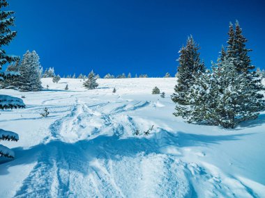 Ski tracks on a snowy mountain. The top of the mountain with clear skies and a huge amount of snow clipart