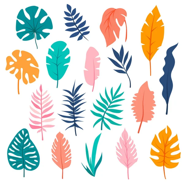 Sada Ručně Kreslených Vektorových Tropických Listů Květinové Listy Větev Palmy — Stockový vektor