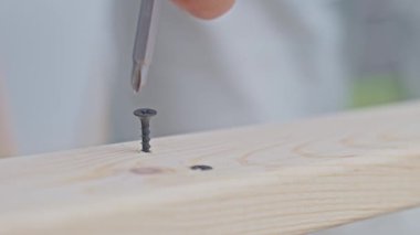 Mobilya montajı sırasında tornavidayla tahta vidalayın. DIY veya marangozluk kavramı