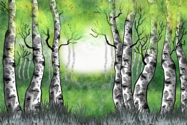 watercolor illustration of a birch forest in springtime 