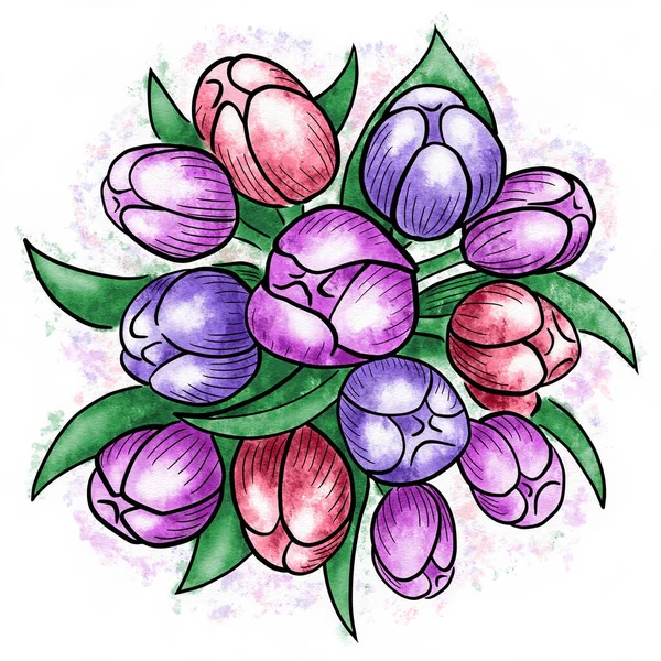 Watercolor Illustration Tulips White Background — Stockfoto