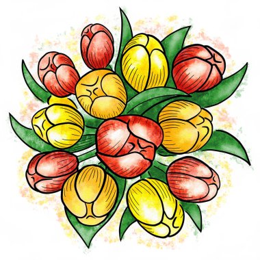 Watercolor illustration of tulips with white background 
