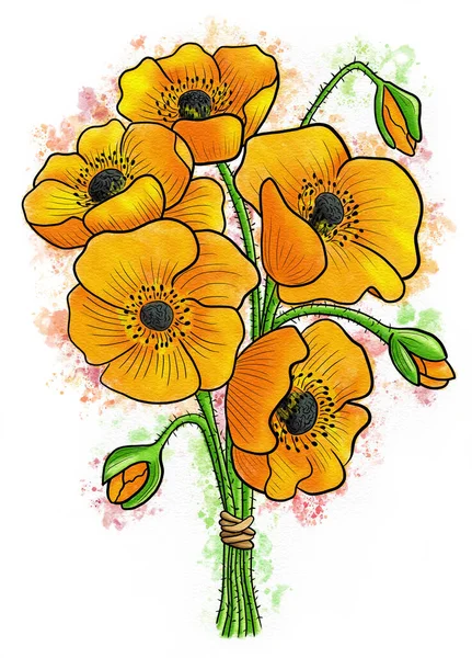Watercolor Illustration Bouquet Poppies White Background — Stockfoto