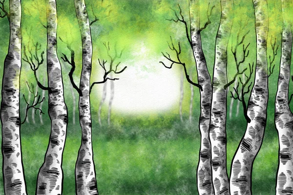 Watercolor Illustration Birch Forest Springtime — Stockfoto