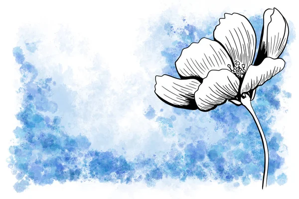 グリーティングカードとして水彩の背景を持つコスモスの花の線画 — ストック写真