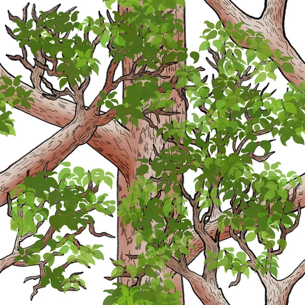 Nahtloses Blätterkronenmuster Wald Mit Grünen Blättern Auf Weißem Hintergrund — Stockfoto