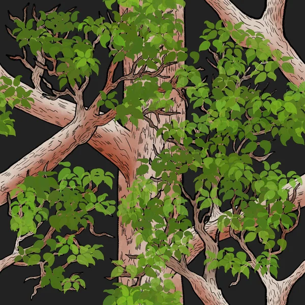 Hladký Vzor Listového Baldachýnu Lese Zelenými Listy Černém Pozadí — Stock fotografie