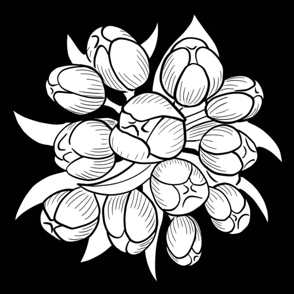 line ink drawing of tulips on black background as greeting card