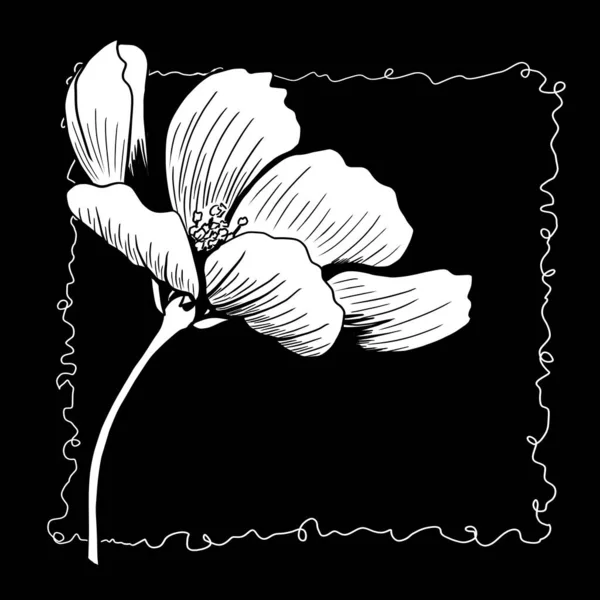 Linia Atrament Rysunek Kosmosu Kwiat Czarnym Tle Jako Kartka Okolicznościowa — Zdjęcie stockowe