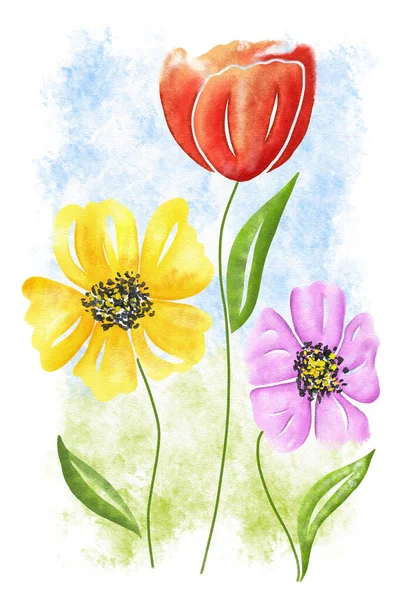 水彩画の3色の花のイラスト — ストック写真