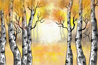 Sonbaharda bir huş ağacının suluboya çizimi 
