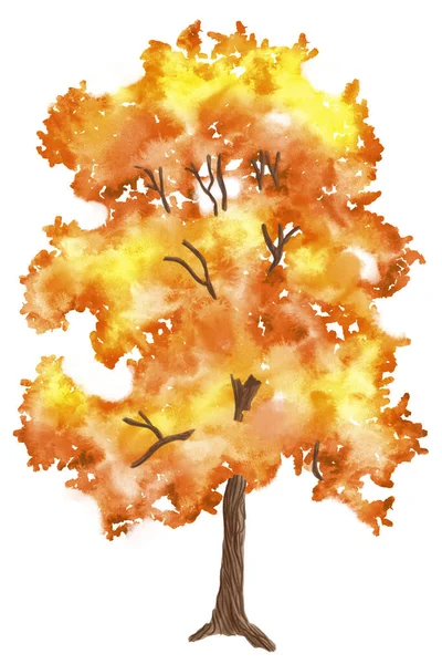 Beyaz Arkaplanda Elle Boyanmış Sonbahar Ağacının Suluboya Çizimi — Stok fotoğraf