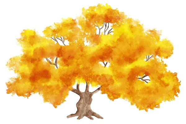 Watercolor Illuastration Hand Painted Autumn Tree White Background — Stock Photo, Image