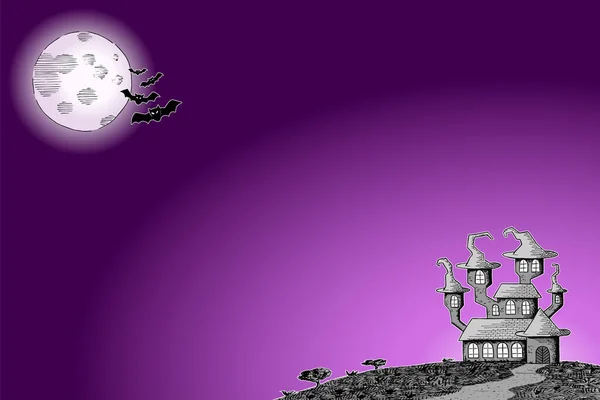 Ilustración Vectorial Castillo Embrujado Una Noche Luna Llena — Foto de Stock