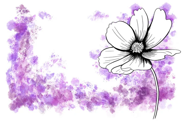 line ink drawing of cosmos flower with watercolor background as greeting card