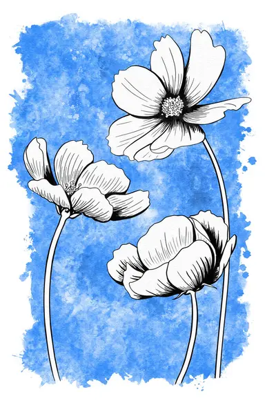 line ink drawing of cosmos flower with watercolor background as greeting card