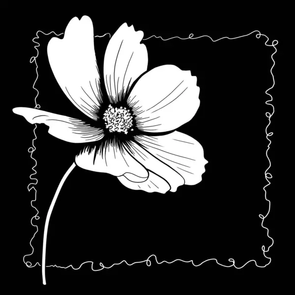 Лінія Чорнила Малюнок Квітки Космосу Чорному Тлі Вітальна Листівка Стокове Фото