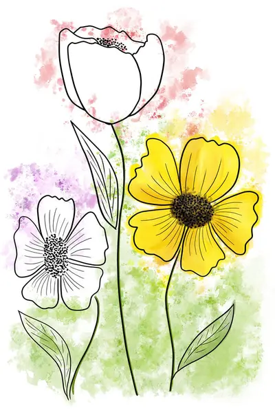 Ilustrace Tří Barevných Květin Akvarelu Čáry Umění Bílém Pozadí Royalty Free Stock Obrázky