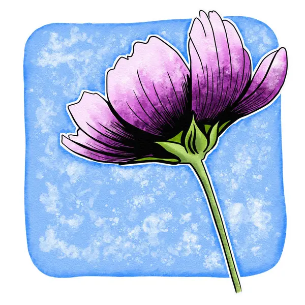 Čára Inkoust Kresba Kosmu Květ Akvarelem Pozadí Jako Přání Royalty Free Stock Obrázky