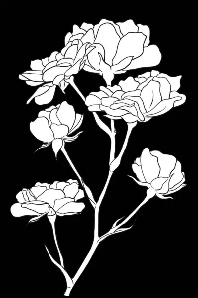Line Ink Drawing Rose Black Background Greeting Card Royalty Free Stock Photos
