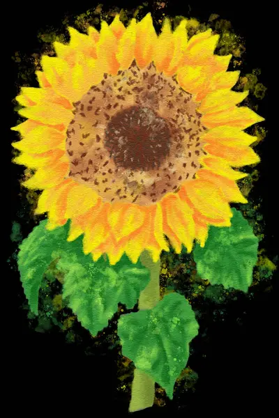 Watercolor Illustration Sunflower Black Background Greeting Card Foto Stock Royalty Free