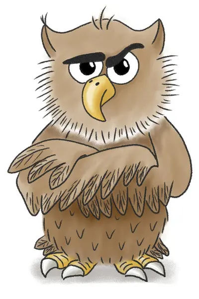 Hand Drawn Illustration Cartoon Owl Being Offended White Background Stockfoto