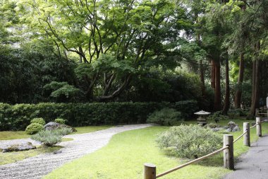 San Francisco, Kaliforniya 'daki güzel yeşil Japon bahçe parkı