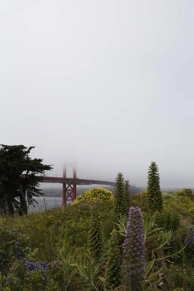 サンフランシスコのゴールデンゲートブリッジでほとんど可視性のいくつかの霧 — ストック写真