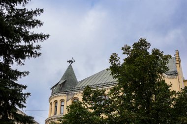 Letonya, Riga 'da yeni bir sanat binasının tepesindeki kedi şekilli heykel.