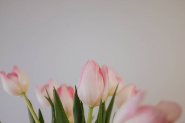 Gri arkaplanda güzel pembe lale çiçeği buketi