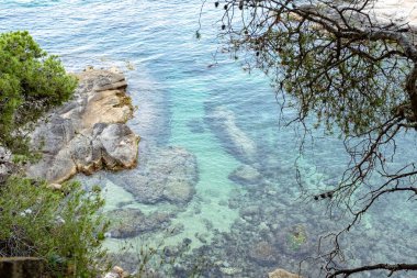 Costa Brava 'da kumlu bir sahilde şeffaf, sessiz bir deniz manzarası.