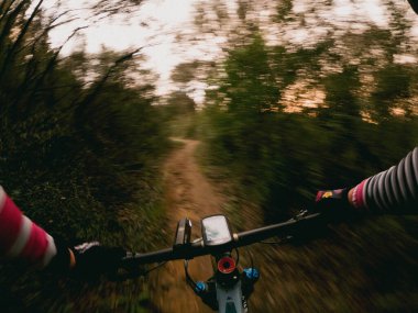 Bir dağ bisikleti ile bir seyir subayı ile ormanda tek bir pistte yarışmak.
