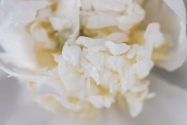 Sarı çiçekli beyaz şakayık çiçekleri Pürüzsüz beyaz taç yaprakları