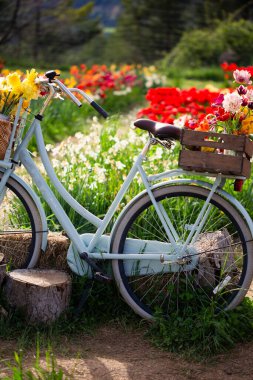 Güzel bir çiçek bahçesinde içi çiçek buketi dolu tahta bir sepetle eski mavi bir bisiklet.