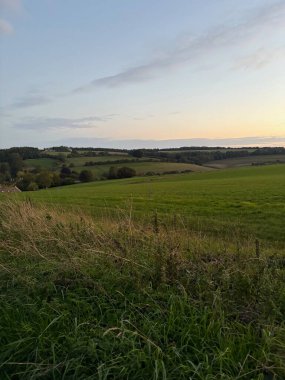 Beautiful green landscape at sunset on a meadow with horse fence in the Cotswolds, England