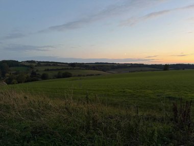 Beautiful green landscape at sunset on a meadow with horse fence in the Cotswolds, England