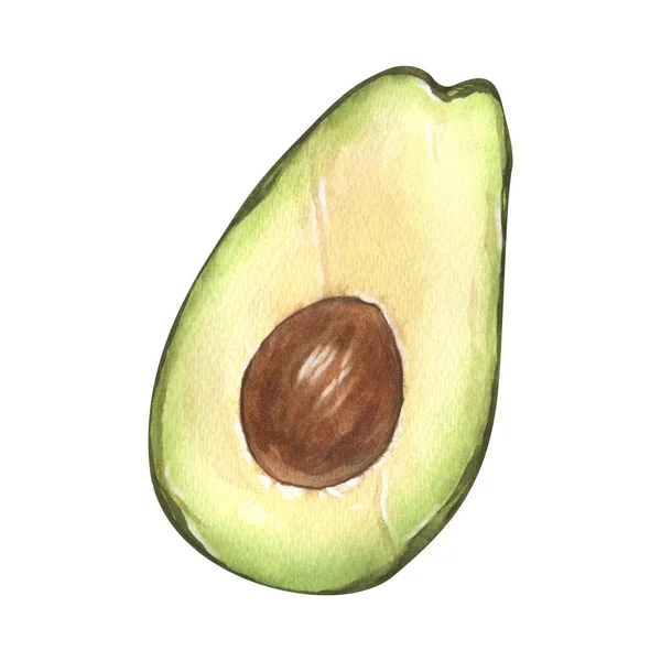 Aquarel Frisse Realistische Avocado Handgetekende Illustratie Geïsoleerd Witte Achtergrond Perfect — Stockfoto