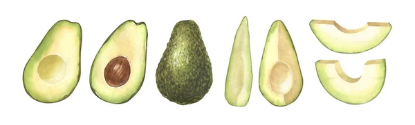 Aquarel Set Van Vers Geheel Gesneden Avocado Handgetekende Illustratie Geïsoleerd — Stockfoto