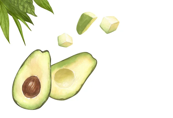 Aquarel Rijp Avocado Frame Handgetekende Illustratie Geïsoleerd Witte Achtergrond Perfect — Stockfoto