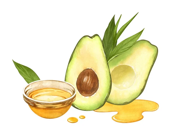 Watercolor Ripe Avocado Oil Avocado Halves Avocado Hand Drawn Illustration — Stock Photo, Image